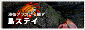 滞在プランから探す 島ステイ