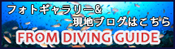 WTPブログ FROM DIVING GUIDE